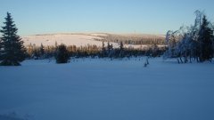 45_80_1385454315_708864_max