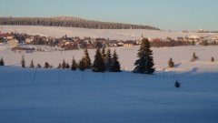 45_90_1385454315_919469_max