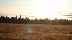 38_10_1320425320_321049_max