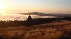 38_110_1320425542_387469_max