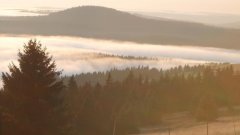 38_120_1320425542_693354_max