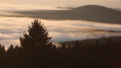 38_130_1320425542_989994_max