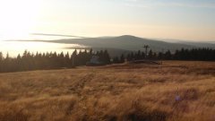 38_20_1320425320_629259_max