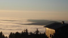 38_50_1320425321_532846_max