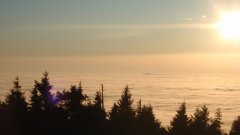 38_60_1320425321_829326_max