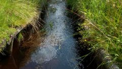 10_10_1274090873_220833_max