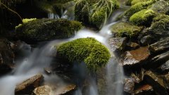 10_110_1274091090_751820_max