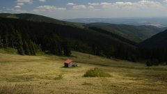 10_120_1274091091_599758_max