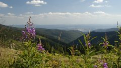 10_130_1274091093_889623_max