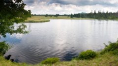 10_150_1274091398_632455_max