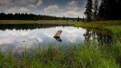 10_170_1274091399_998316_max