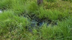 10_180_1274091400_876325_max