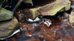 10_190_1274091401_788875_max