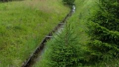 10_20_1274090873_733428_max