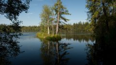 10_220_1274091404_932175_max