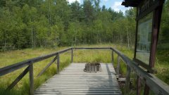 10_230_1274091405_829561_max