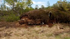 10_30_1274090903_151937_max