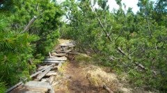 10_50_1274091083_628216_max