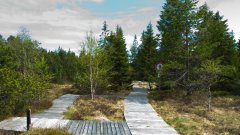 10_60_1274091084_613966_max