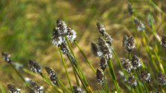 10_70_1274091086_324759_max