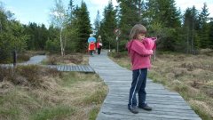 10_80_1274091088_753170_max