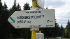 10_90_1274091088_997904_max