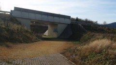 37_10_1320424560_155568_max