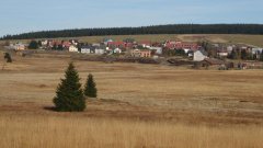 37_110_1320424686_144422_max