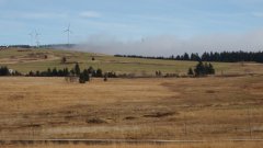 37_120_1320424686_458653_max