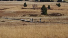 37_130_1320424686_764024_max