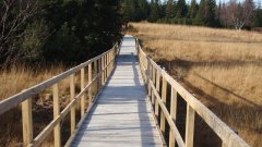 37_140_1320424687_846830_max