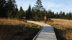 37_150_1320424687_409164_max