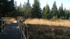 37_160_1320424687_727253_max