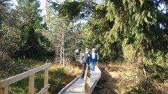 37_170_1320424688_479860_max