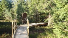 37_180_1320424688_388654_max