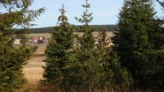 37_190_1320424688_729598_max