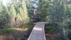 37_200_1320424689_586790_max