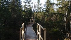 37_210_1320424836_300780_max