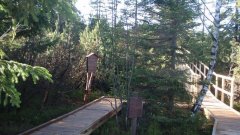 37_220_1320424836_636185_max