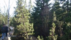 37_230_1320424836_969484_max