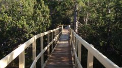 37_240_1320424837_298714_max