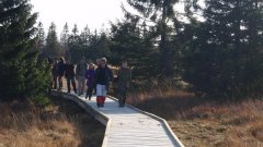 37_260_1320424837_950171_max