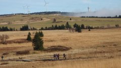 37_270_1320424838_272246_max