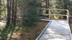 37_280_1320424838_583218_max