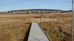 37_30_1320424561_378520_max