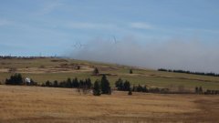 37_40_1320424561_353104_max