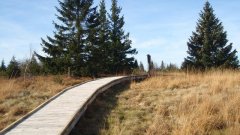 37_50_1320424561_661408_max