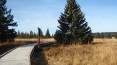 37_60_1320424561_984180_max