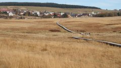 37_70_1320424562_300783_max