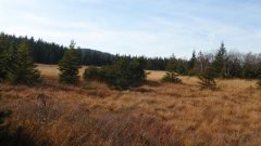 37_80_1320424562_616259_max